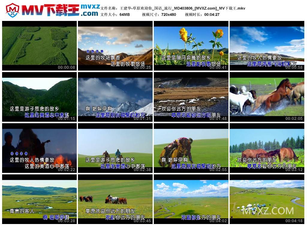 王建华-草原欢迎你_国语_流行_MD403806